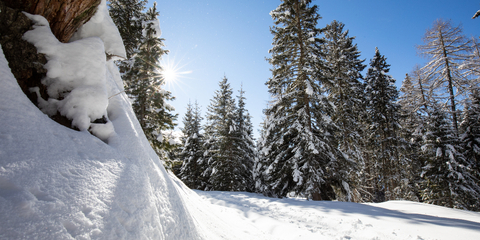 White Weeks: Experience the winter in a sustainable way